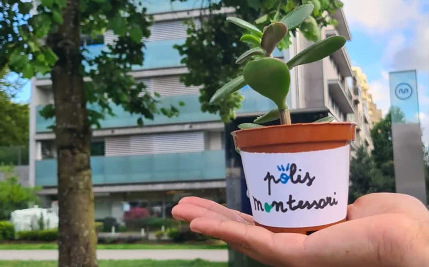 polis montessori educação para a vida