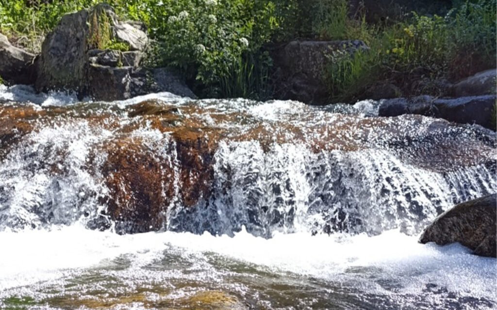 liberdade-bolsos-de-educadora