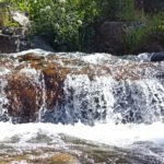 liberdade-bolsos-de-educadora