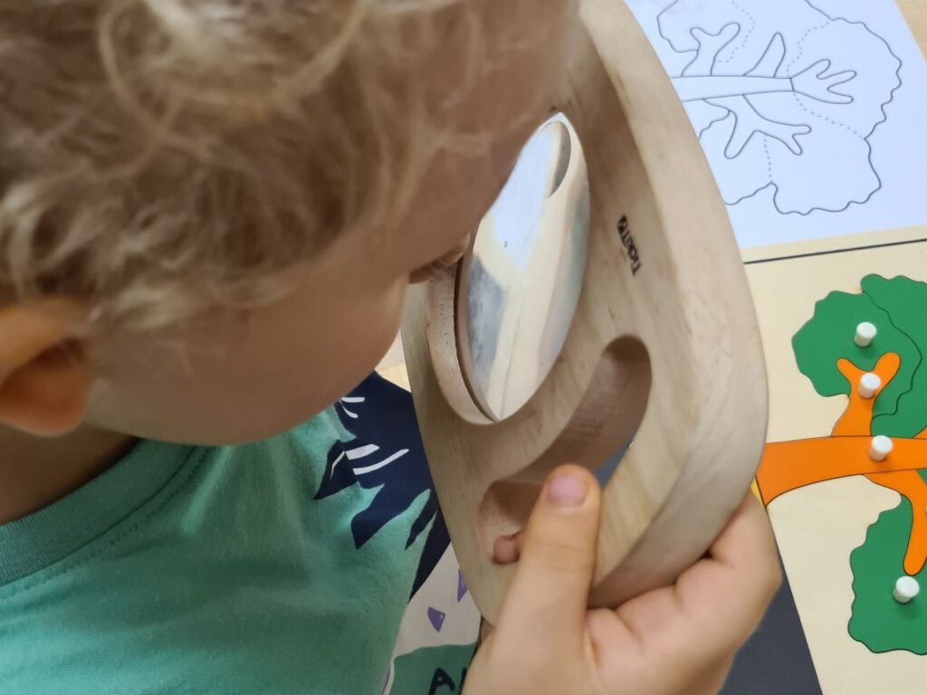 A observação como princípio na Pedagogia Montessori