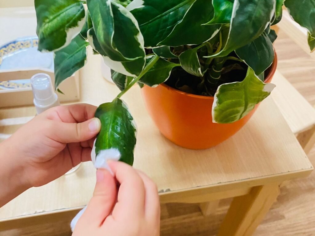 A vida prática como construção de significado na Pedagogia Montessori